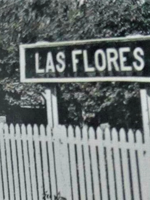 ESTACION LAS FLORES EN 1994 ii - copia
